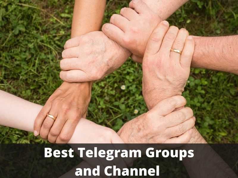 Best Telegram Groups and Channel Links List
