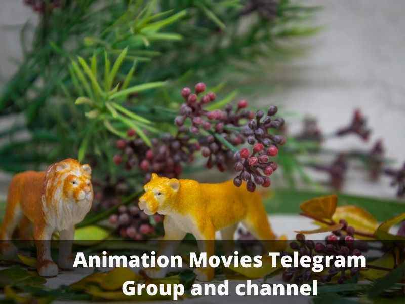 Animation Movies Telegram Group and channel Links