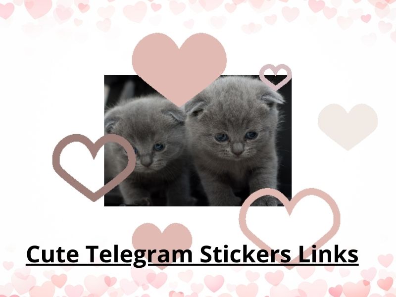 Cute Telegram Stickers Links